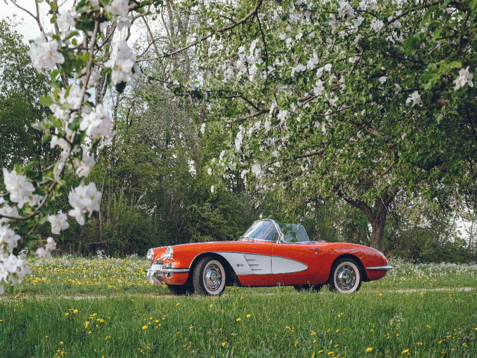 Corvette C1 - CALVENDO Foto-Puzzle'