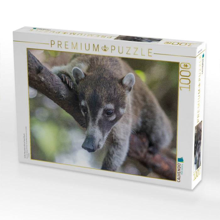 Süßer Nasenbär sitzt auf dem Baum - CALVENDO Foto-Puzzle'