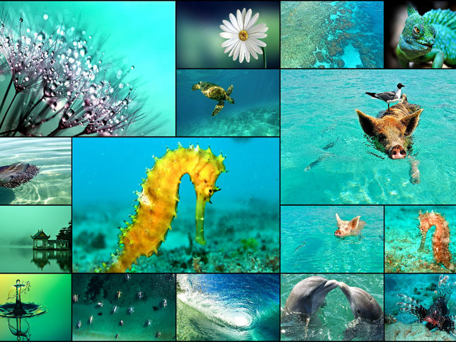 Summertime - CALVENDO Foto-Puzzle'