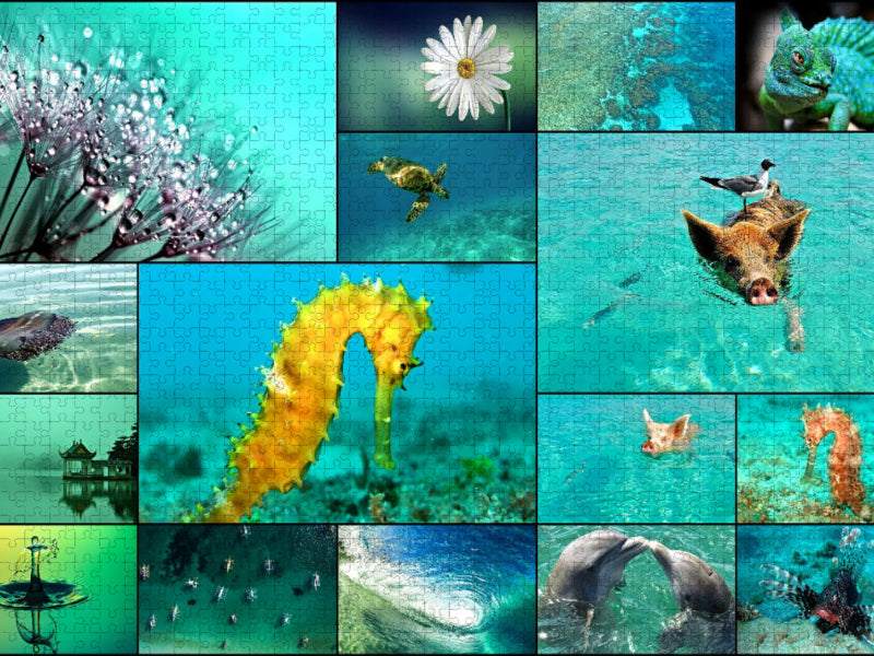 Summertime - CALVENDO Foto-Puzzle'