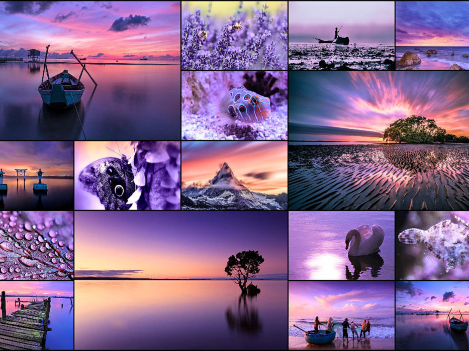 Purple Journey - CALVENDO Foto-Puzzle'