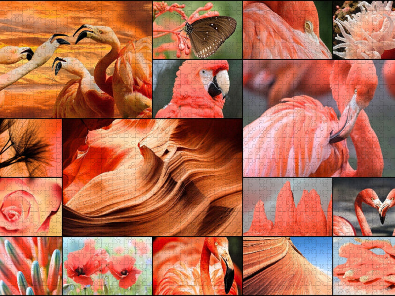 Pink Rhapsody - CALVENDO Foto-Puzzle'