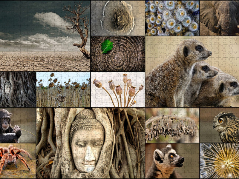 Exotic Trip - CALVENDO Foto-Puzzle'