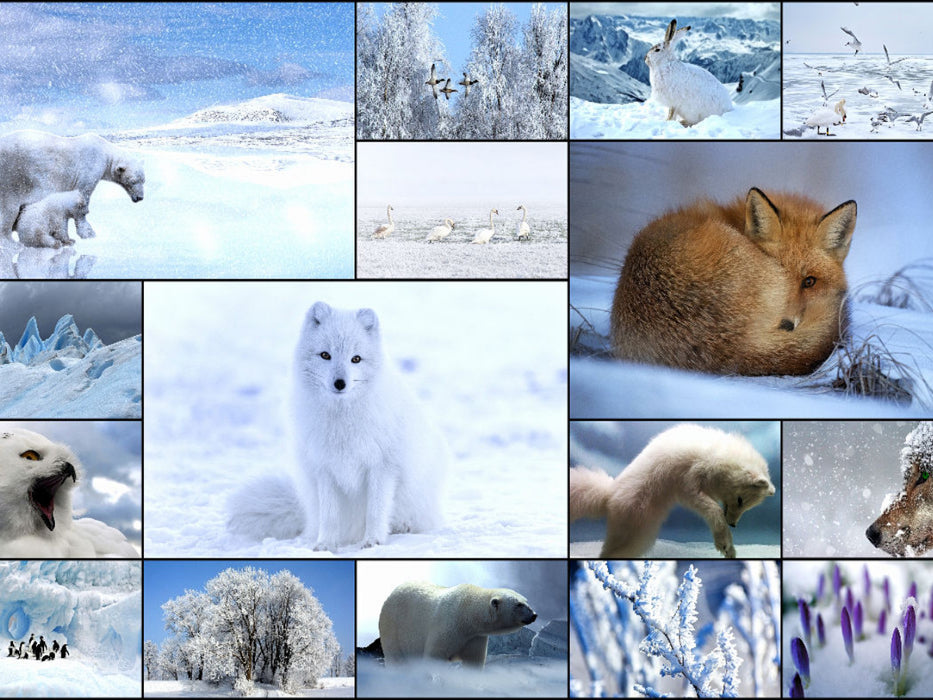 Winter Dream - CALVENDO Foto-Puzzle'