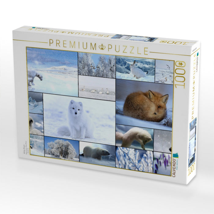 Winter Dream - CALVENDO Foto-Puzzle'