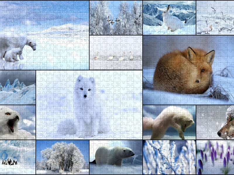 Winter Dream - CALVENDO Foto-Puzzle'