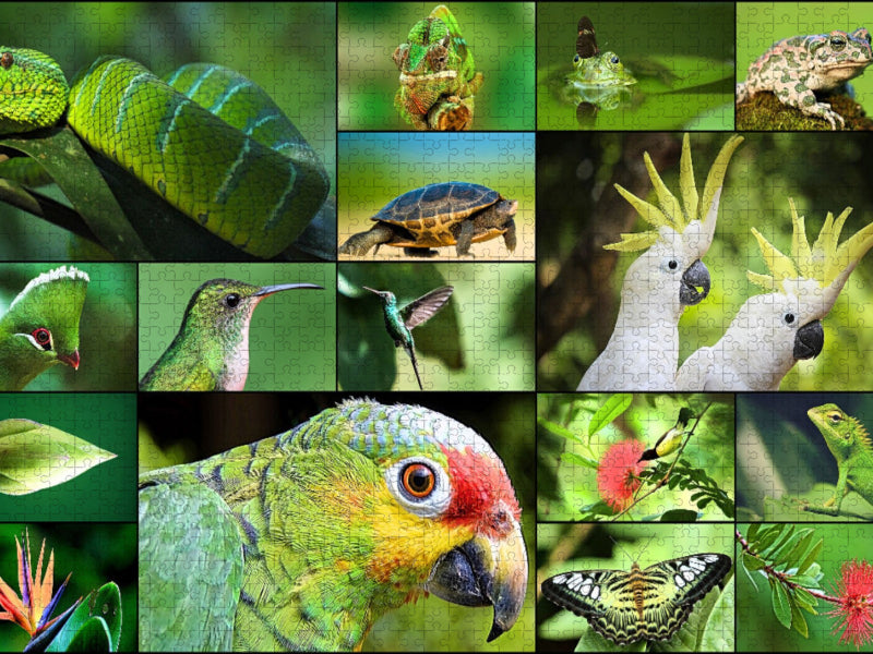 Jungle Adventure - CALVENDO Foto-Puzzle'