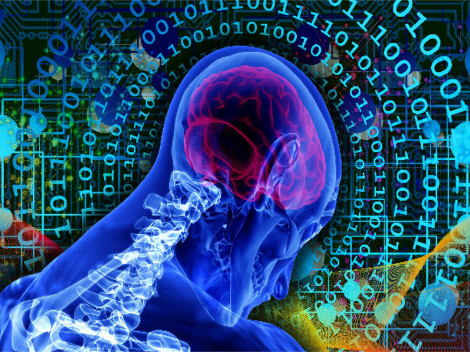Mensch und Netz vereint - CALVENDO Foto-Puzzle'
