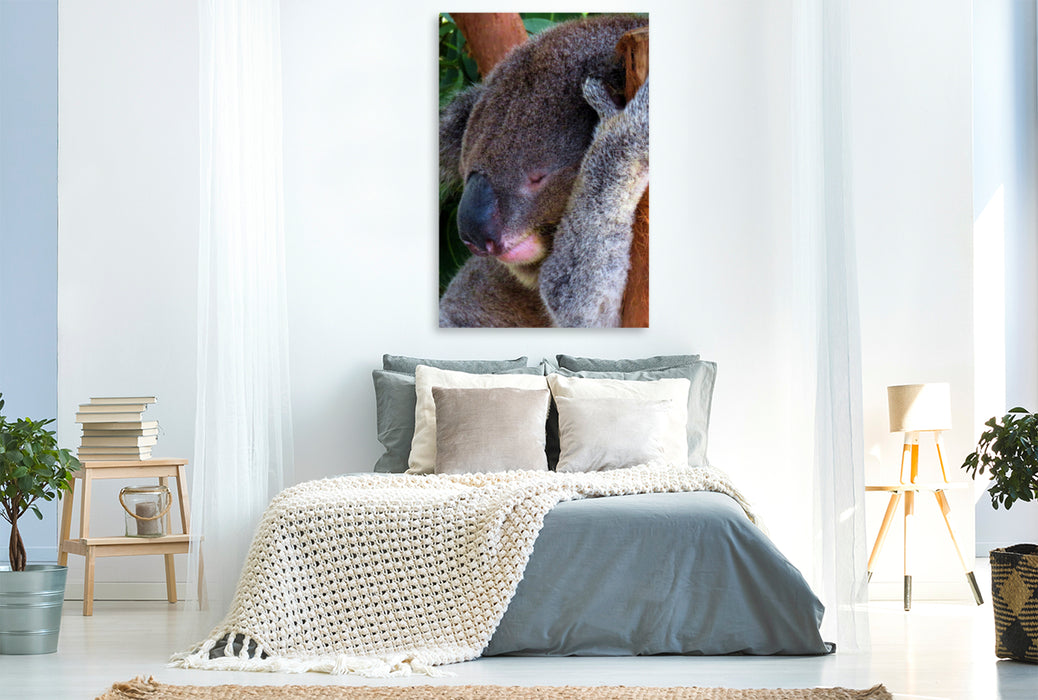Premium Textil-Leinwand Premium Textil-Leinwand 80 cm x 120 cm  hoch Niedlicher schlafender Koala