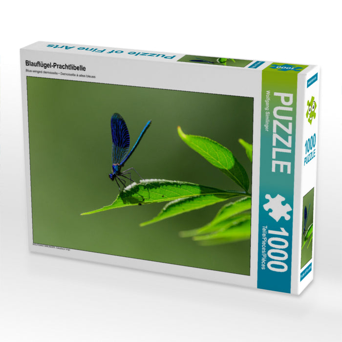 Blue-winged demoiselle - CALVENDO photo puzzle 