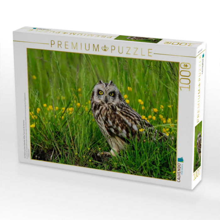 Ein Motiv aus dem Kalender Wilde Tiere vor der Kamera - CALVENDO Foto-Puzzle'