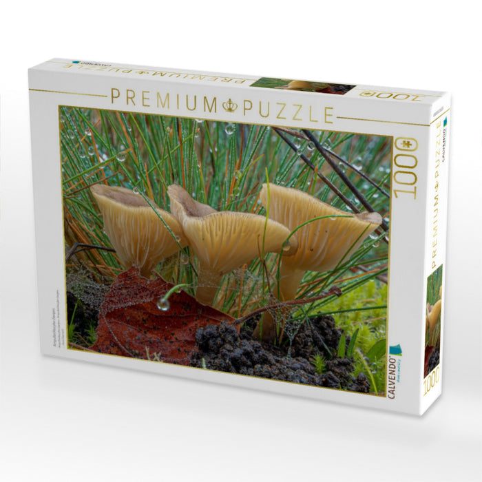 Ampulloclitocybe clavipes - CALVENDO Foto-Puzzle'