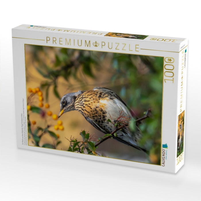 Ein Motiv aus dem Kalender Vogel Sinfonie in Köln - CALVENDO Foto-Puzzle'