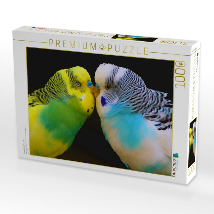 Schnäbelnde Freunde - CALVENDO Foto-Puzzle'