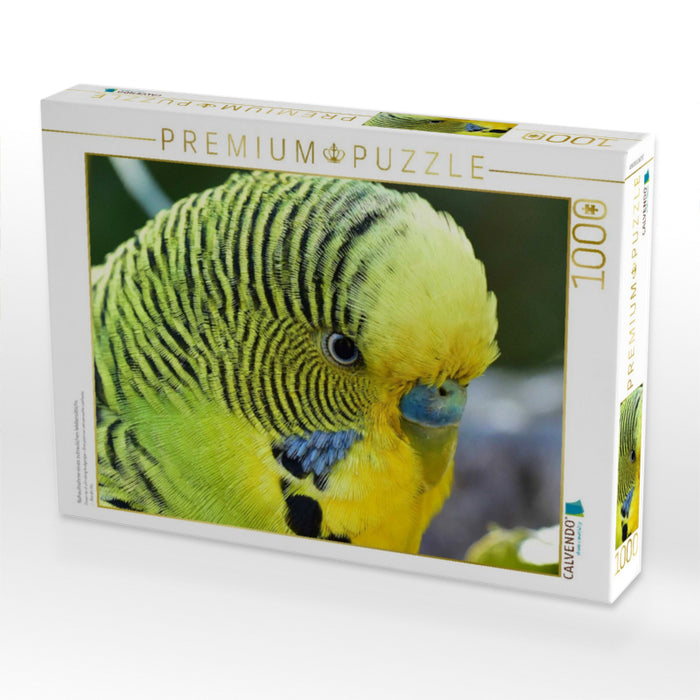 Nahaufnahme eines zutraulichen Wellensittichs - CALVENDO Foto-Puzzle'