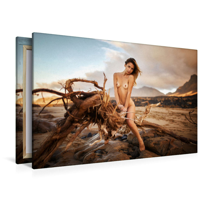 Premium Textil-Leinwand Premium Textil-Leinwand 120 cm x 80 cm quer Dana
