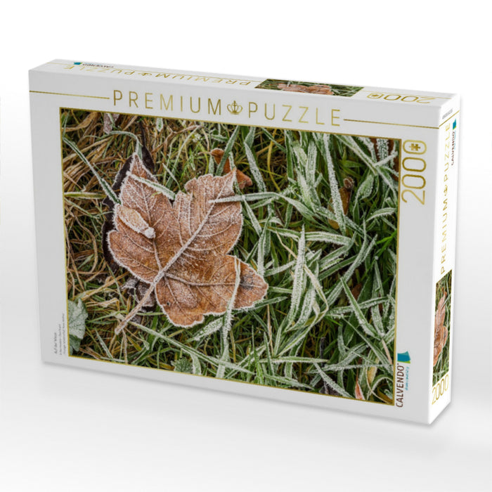 Maple on the winter meadow - CALVENDO photo puzzle 