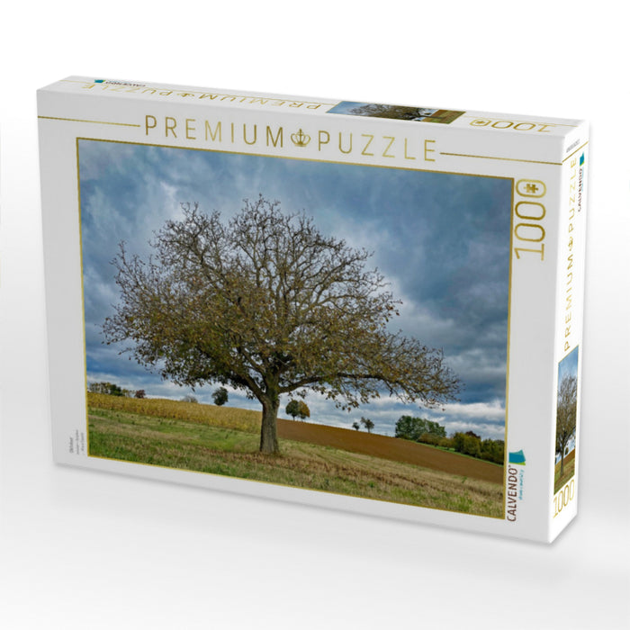 Oktober - CALVENDO Foto-Puzzle'
