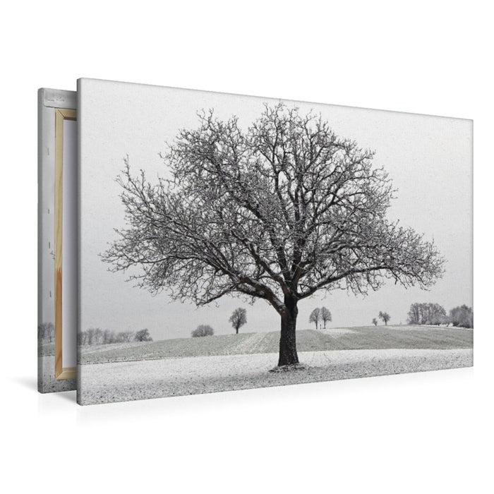 Premium Textil-Leinwand Dezember