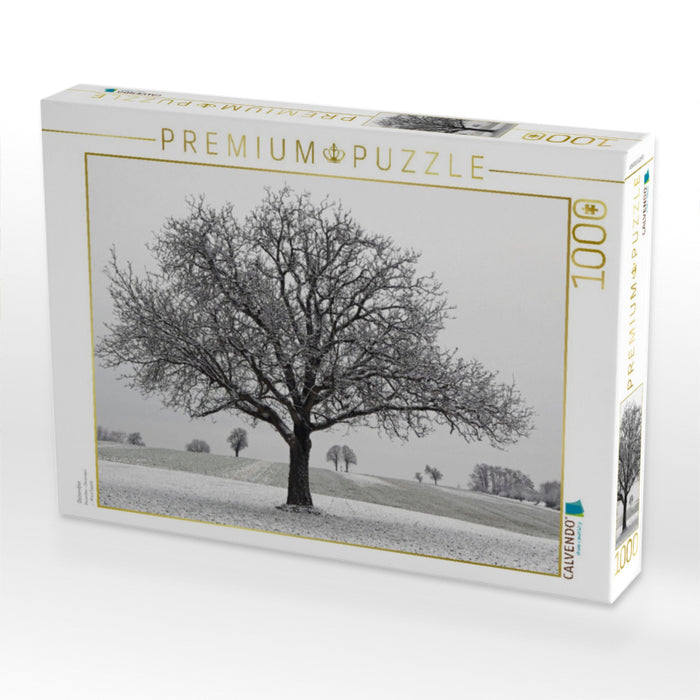 Dezember - CALVENDO Foto-Puzzle'