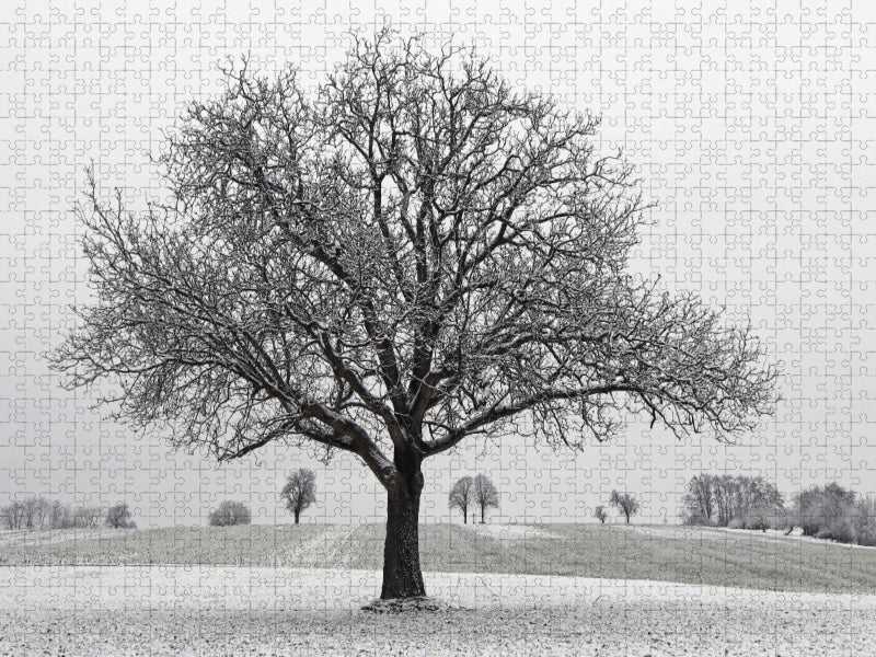 Dezember - CALVENDO Foto-Puzzle'