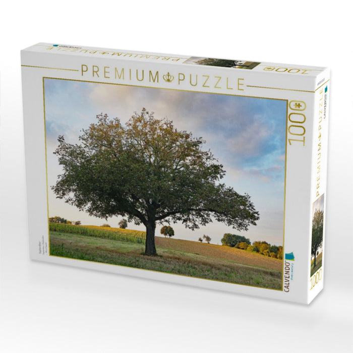 September - CALVENDO Foto-Puzzle'