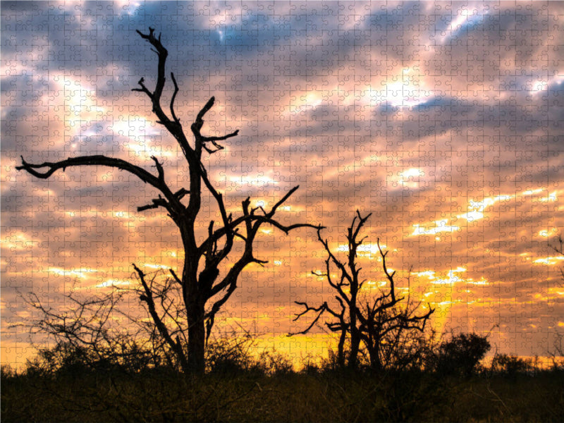 Abendstimmung in der Savanne 2000 Teile Puzzle quer - CALVENDO Foto-Puzzle'