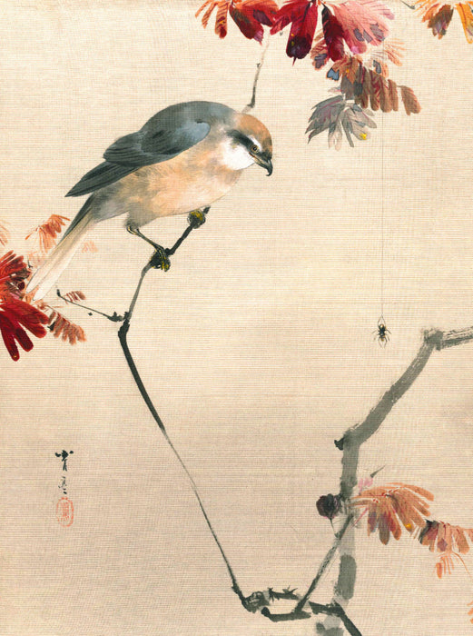 Watanabe Seitei (1851-1918): Vogel auf einem Zweig, eine Spinne beobachtend, ca. 1887 - CALVENDO Foto-Puzzle'