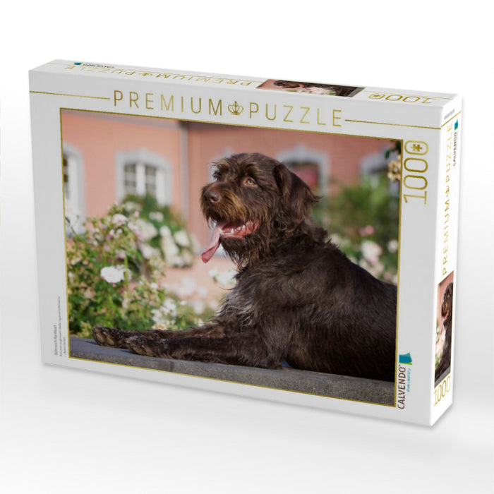 Böhmisch Rauhbart - CALVENDO Foto-Puzzle'