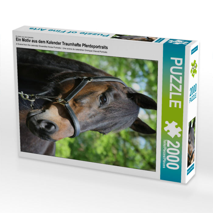 Fantastic horse portraits - CALVENDO photo puzzle 