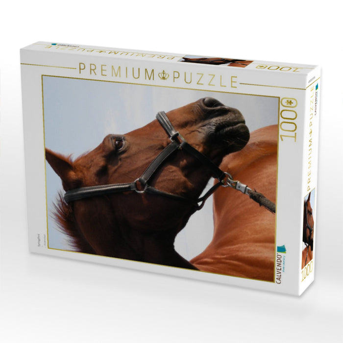 Springpferd - CALVENDO Foto-Puzzle'