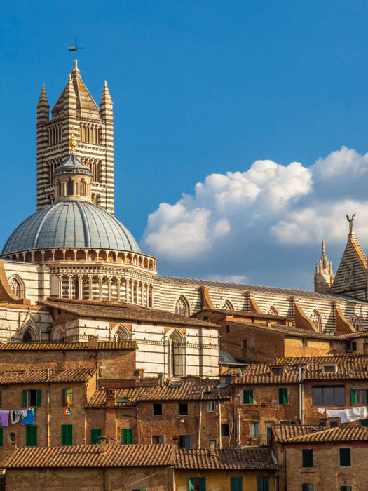Sienna - CALVENDO Foto-Puzzle'