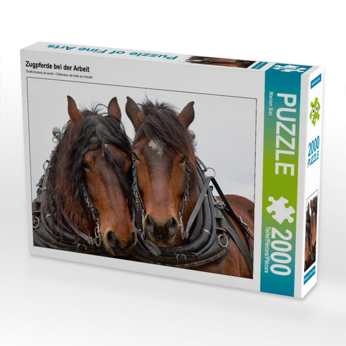 Zugpferde bei der Arbeit 2000 Teile Puzzle quer - CALVENDO Foto-Puzzle'