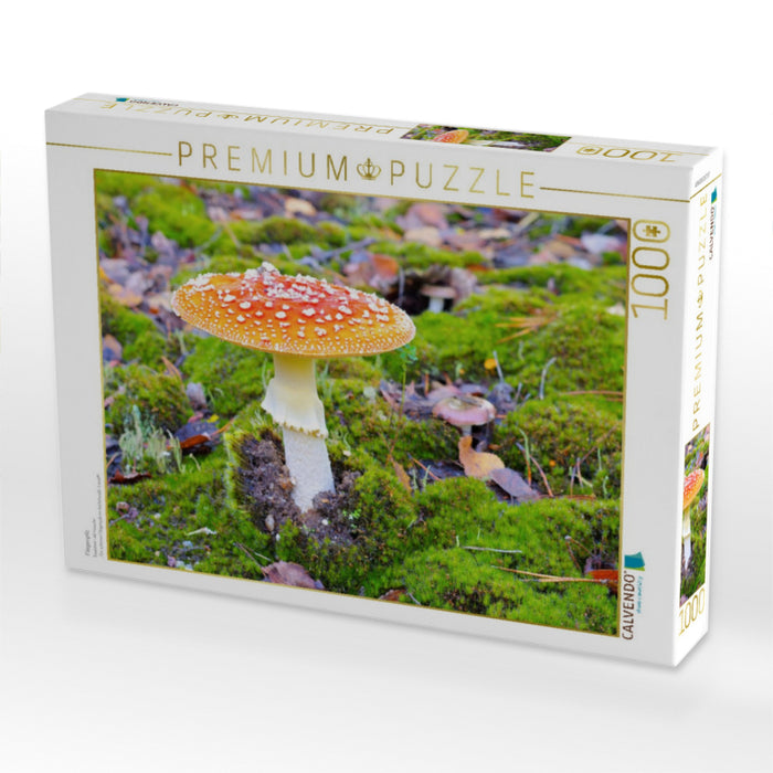 Fliegenpilz - CALVENDO Foto-Puzzle'