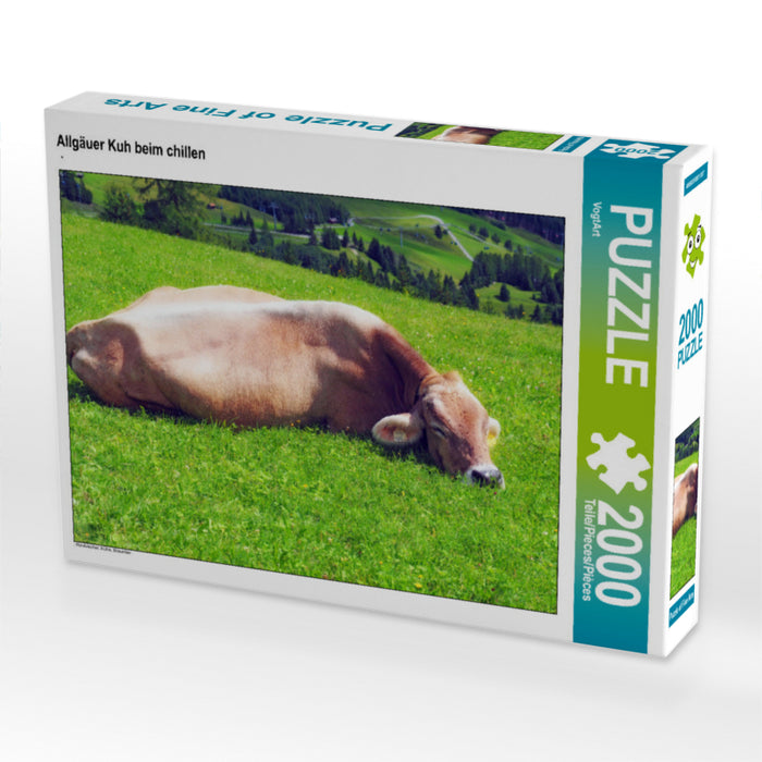 Allgäu cow chilling - CALVENDO photo puzzle 