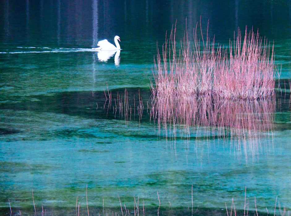 Isar reservoir - CALVENDO photo puzzle 