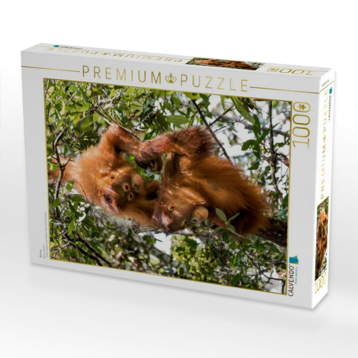 Borneo - CALVENDO Foto-Puzzle'