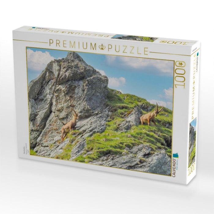 Steinböcke - CALVENDO Foto-Puzzle'
