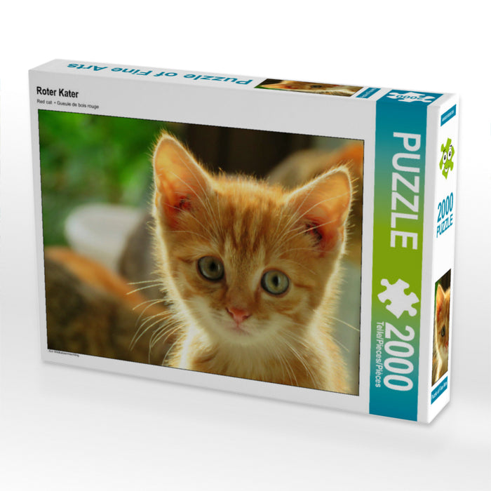 Roter Kater 2000 Teile Puzzle quer - CALVENDO Foto-Puzzle'
