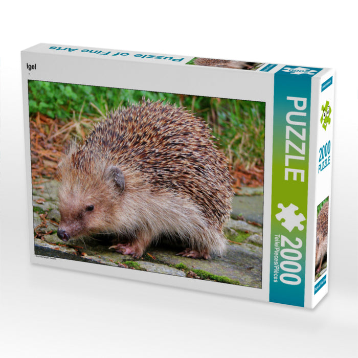 Igel 2000 Teile Puzzle quer - CALVENDO Foto-Puzzle'