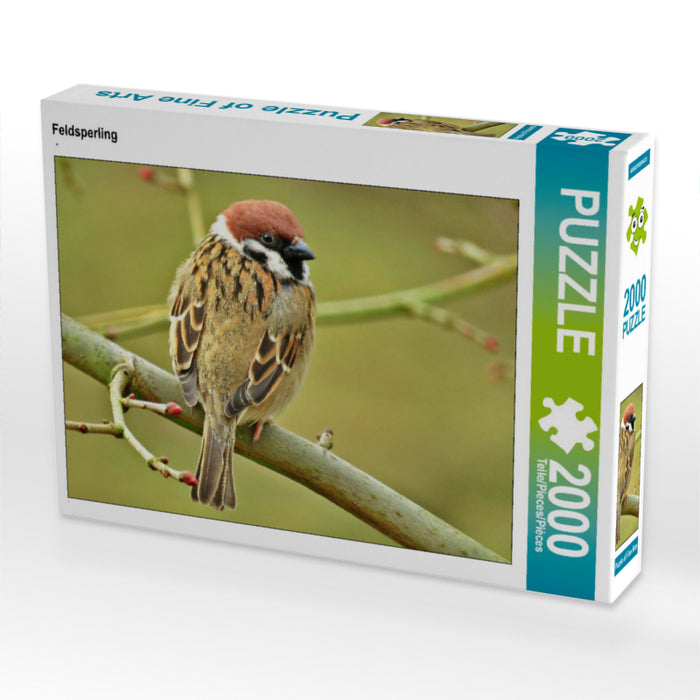 Feldsperling 2000 Teile Puzzle quer - CALVENDO Foto-Puzzle'