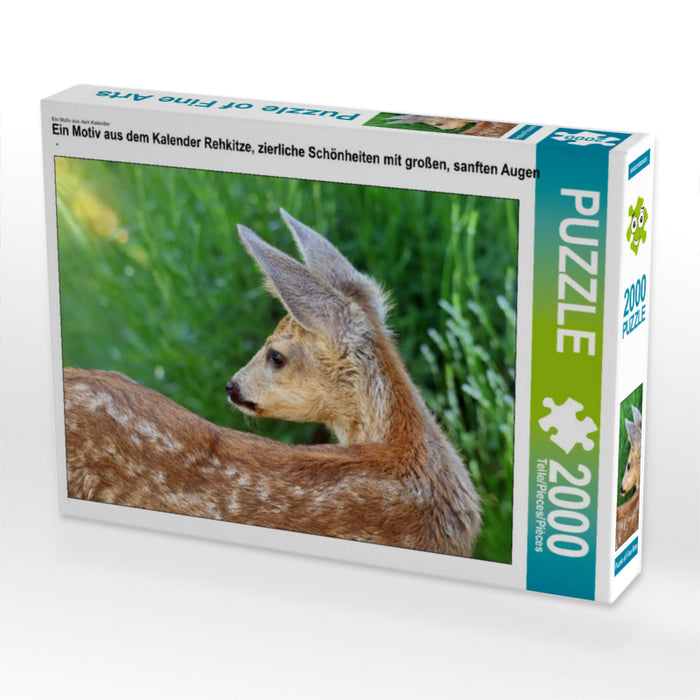 Ein Motiv aus dem Kalender Rehkitze, zierliche Schönheiten mit großen, sanften Augen 2000 Teile Puzzle quer - CALVENDO Foto-Puzzle'