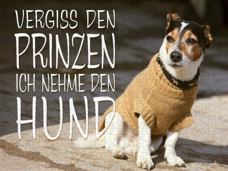 Jack Russell Terrier mit modebewußtem Hundeanzug - CALVENDO Foto-Puzzle'