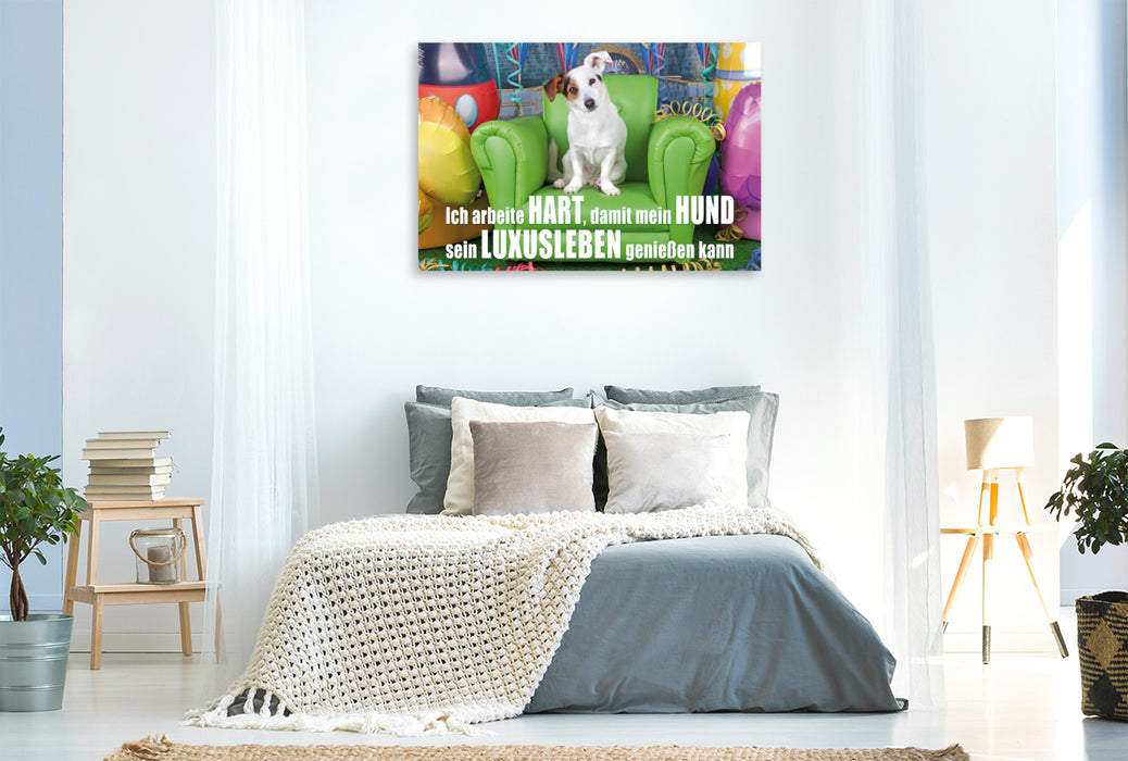 Premium Textil-Leinwand Premium Textil-Leinwand 120 cm x 80 cm quer Jack Russell Terrier sitzt auf einem grünen Ledersessel und schaut neugierig in die Kamera