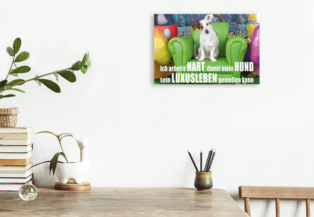 Premium Textil-Leinwand Premium Textil-Leinwand 120 cm x 80 cm quer Jack Russell Terrier sitzt auf einem grünen Ledersessel und schaut neugierig in die Kamera