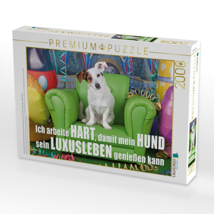 Jack Russell Terrier sitzt auf einem grünen Ledersessel und schaut neugierig in die Kamera - CALVENDO Foto-Puzzle'