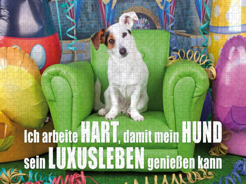 Jack Russell Terrier sitzt auf einem grünen Ledersessel und schaut neugierig in die Kamera - CALVENDO Foto-Puzzle'
