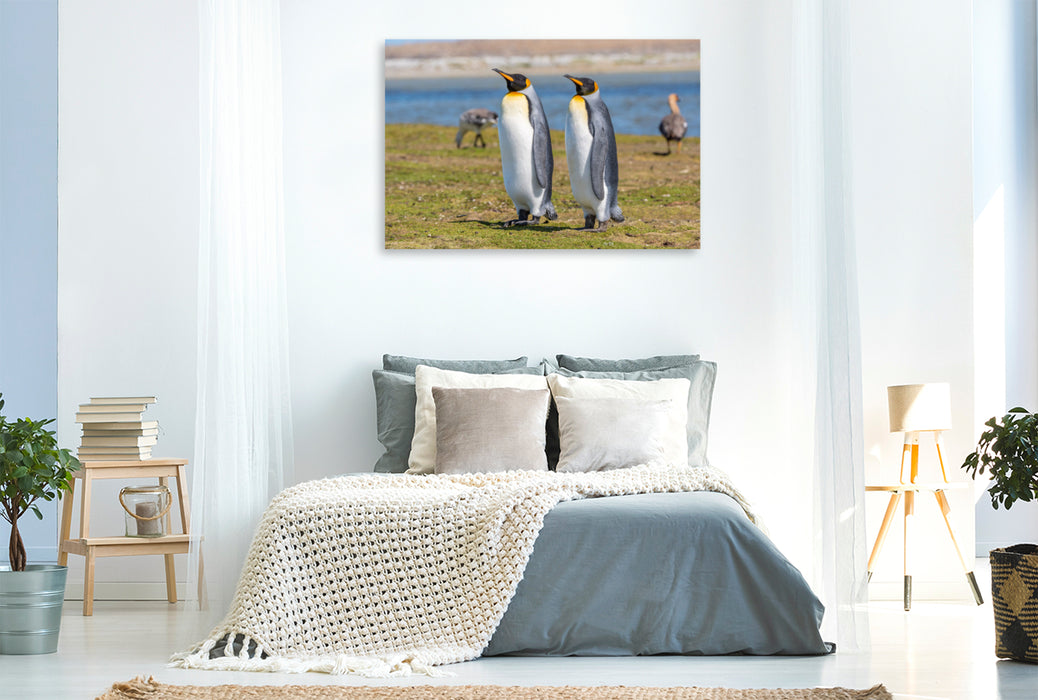 Premium Textil-Leinwand Premium Textil-Leinwand 120 cm x 80 cm quer Königspinguine / King Penguins