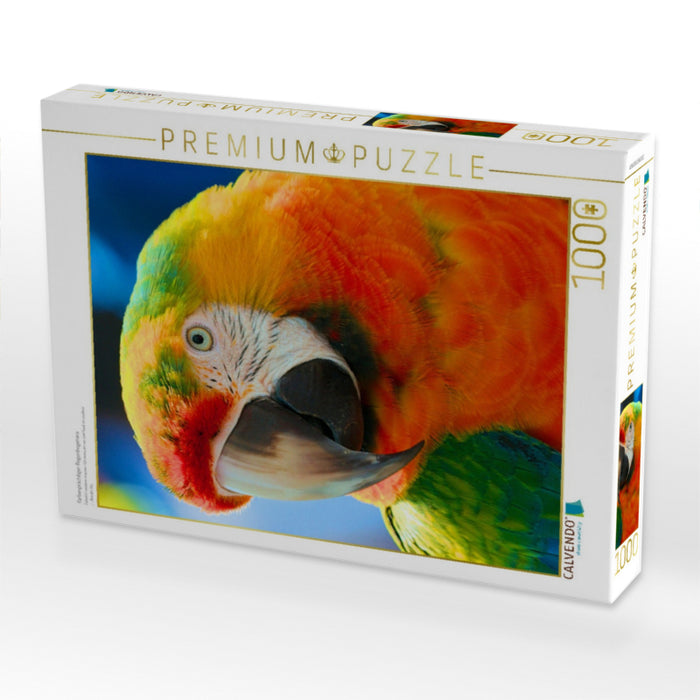 Farbenprächtiger Regenbogenara - CALVENDO Foto-Puzzle'