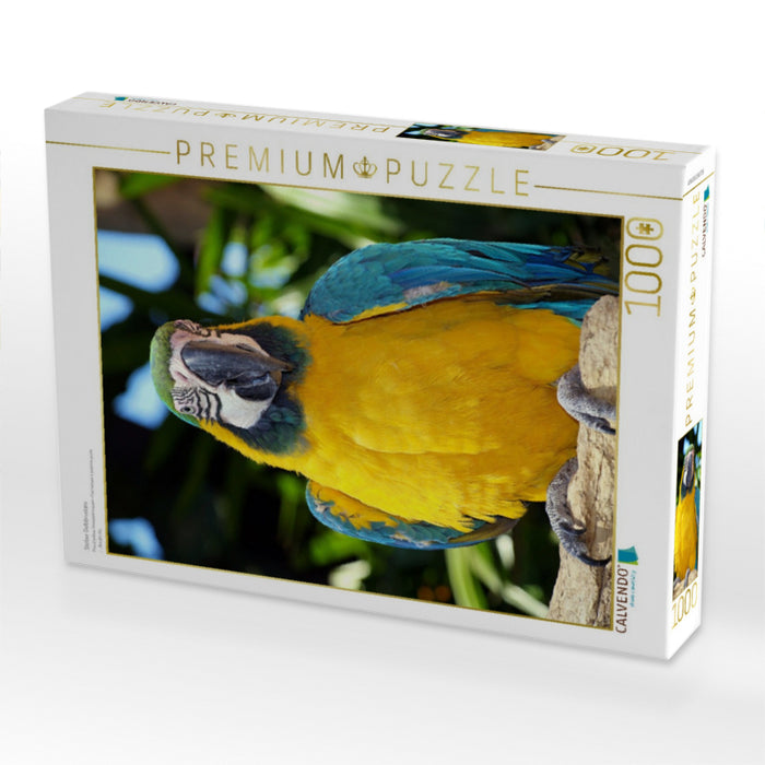 Stolzer Gelbbrustara - CALVENDO Foto-Puzzle'
